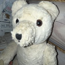 Мишка Германия