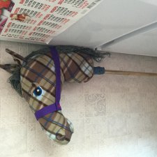 Мой скакун на палочке