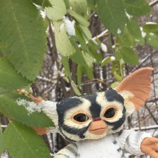 Наш домовой Барсик