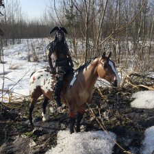 Прогулка боевого тандема