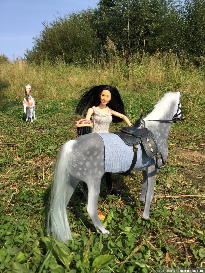 Только Чайка!)