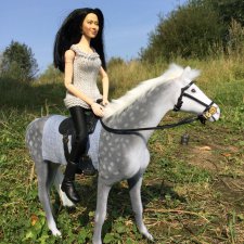 Фотоотчёт о верховой прогулке: сентябрь 2017 года