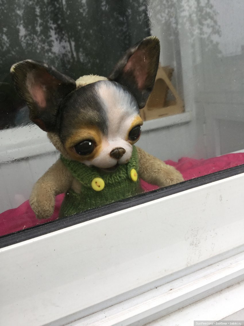 Яркая жизнь Арнольда. Чудеса природы после дождя. Часть 2