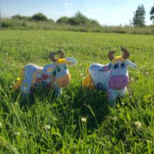 Коровы тоже любят фотографироваться