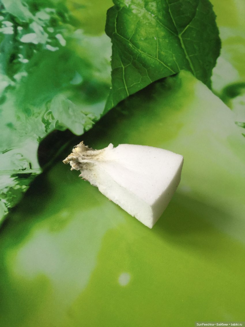 МК Миссис Бэйбики 2020. Маленькие хитрости по домоводству от Молли (фото 6)