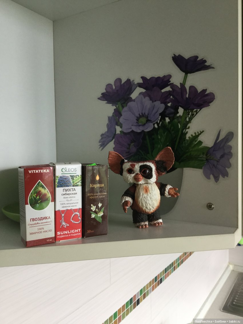 МК Миссис Бэйбики 2020. Маленькие хитрости по домоводству от Молли