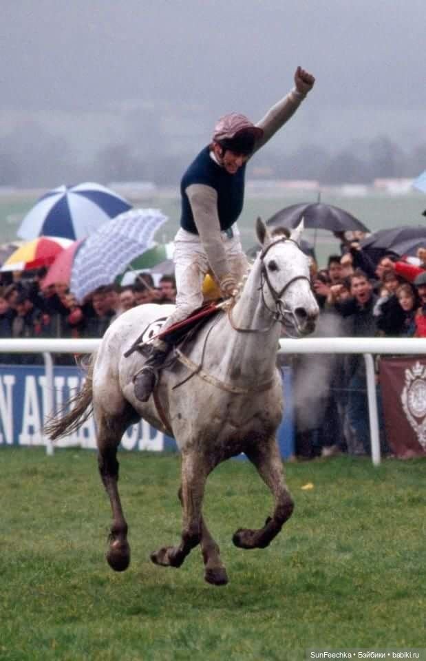 История одной лошади или мы ждём прибытия Кастро Челенджера Бруклина (фото 6)