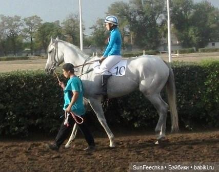 История одной лошади или мы ждём прибытия Кастро Челенджера Бруклина (фото 4)