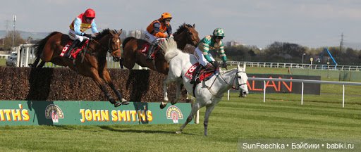 История одной лошади или мы ждём прибытия Кастро Челенджера Бруклина