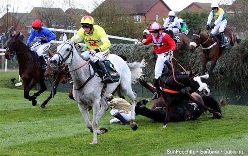 История одной лошади или мы ждём прибытия Кастро Челенджера Бруклина (фото 2)