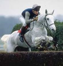 История одной лошади или мы ждём прибытия Кастро Челенджера Бруклина (фото 8)