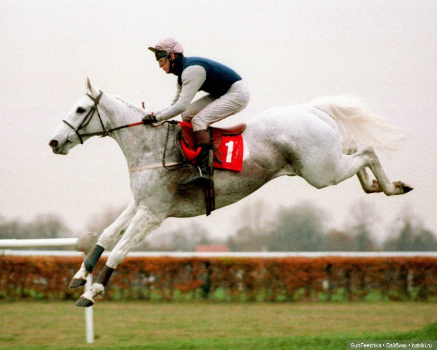 История одной лошади или мы ждём прибытия Кастро Челенджера Бруклина (фото 7)