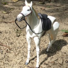 Кастро на прогулке