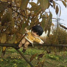 Знакомство с Ryo