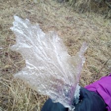 Ледяной дизайн