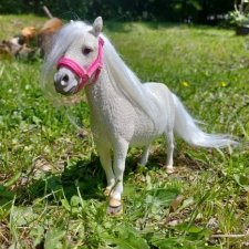 Хочу лошадь 1/6 с алиэкспресс. Но есть раздумья