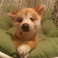 Реалистичная игрушка - щенок акита-ину Доминик