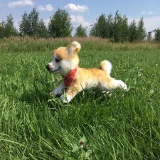 Реалистичные мягкие игрушки. Мы погуляли с Домиником и Хатико 🐕