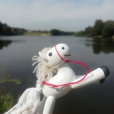 Маленькая белая лошадка (с блошки 🤫)