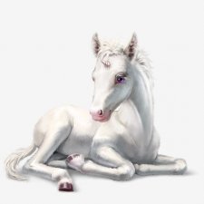 Мечта о белом единороге. Сбылась 🦄