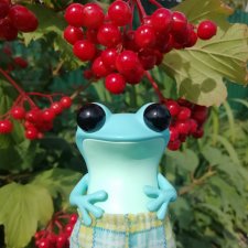 Apo  frogs. Маркус. Знакомство