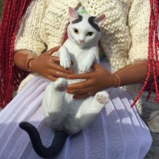 У Бебиты новый питомец - котик Джеральд.