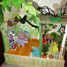 В гостях у Маркуса. Apo frogs.