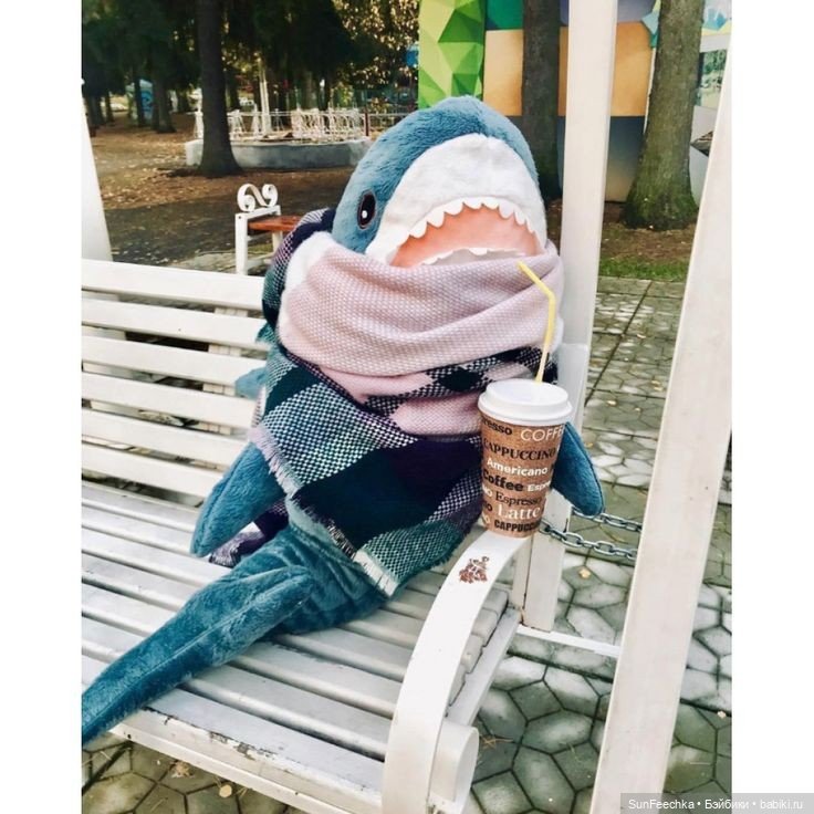 Гусемания у нас дома. Савелий 🪶