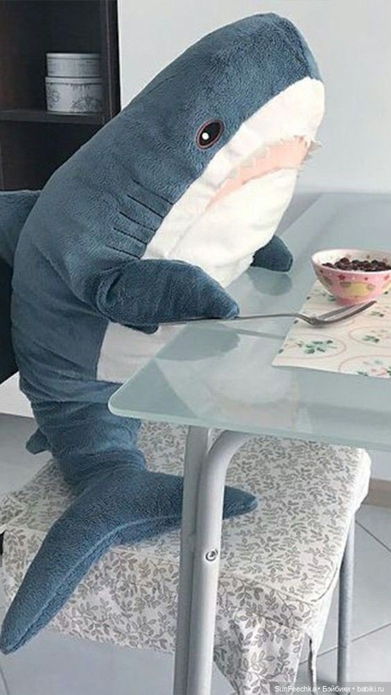 Гусемания у нас дома. Савелий 🪶 (фото 3)