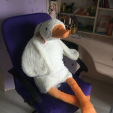 Гусемания у нас дома. Савелий 🪶