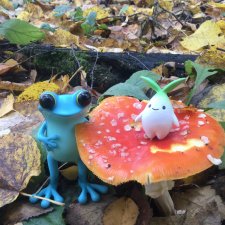 Apo frog Маркус и Малыш Лу. Осень. Лес. Айда по грибы