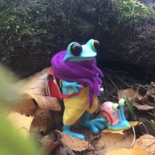 Apo frog Маркус. Погуляли