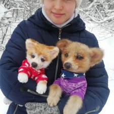 Живые игрушки