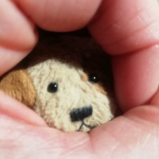 Мир глазами - пуговками. Дневник Филиппа. Я родился.