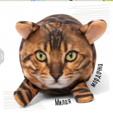 Не могу выбрать 3D кота. Нужна помощь )