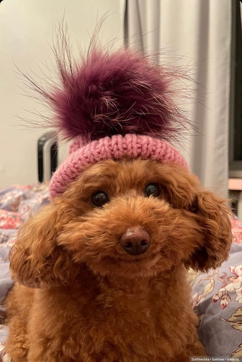 В ожидании Груши 🍐 — Мягкие игровые и текстильные куклы: тряпичные