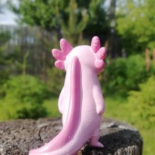 Кака в большом мире