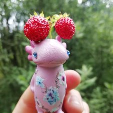 Какин грибной улов