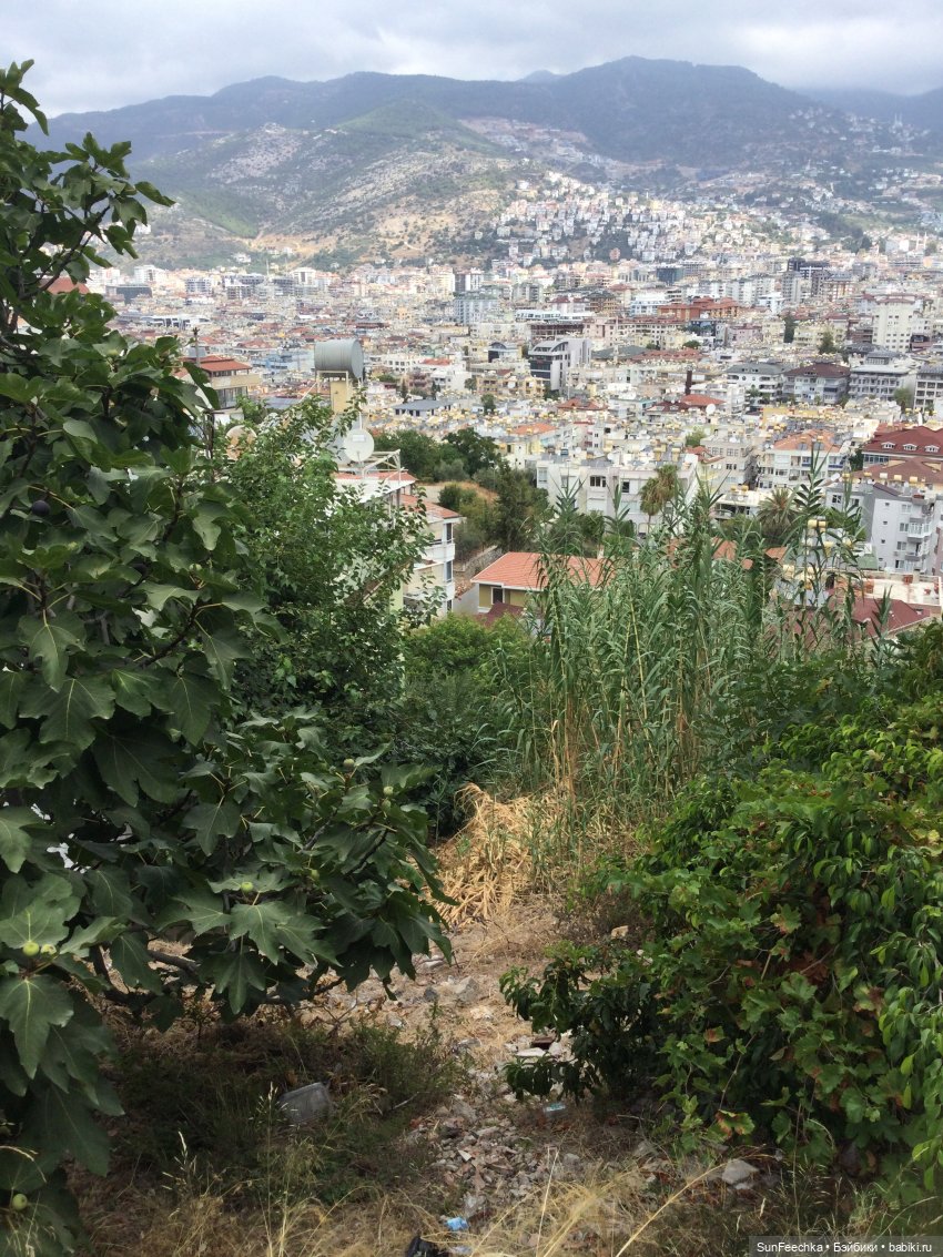 Мистер Бин покоряет Турцию или как Турция покорила мистера Бина (фото 10)