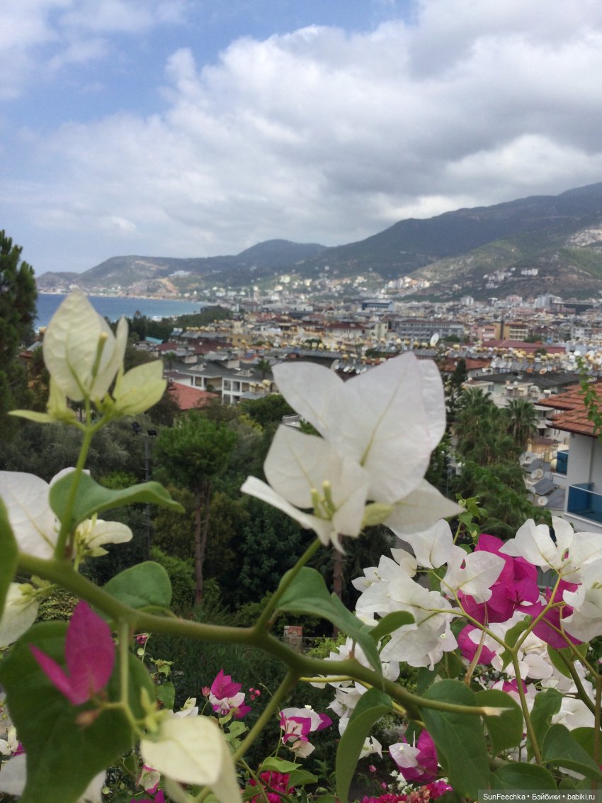 Мистер Бин покоряет Турцию или как Турция покорила мистера Бина