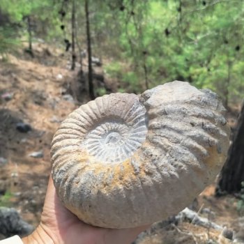 Наша интересная находка