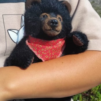 Мишкины приключения Майло