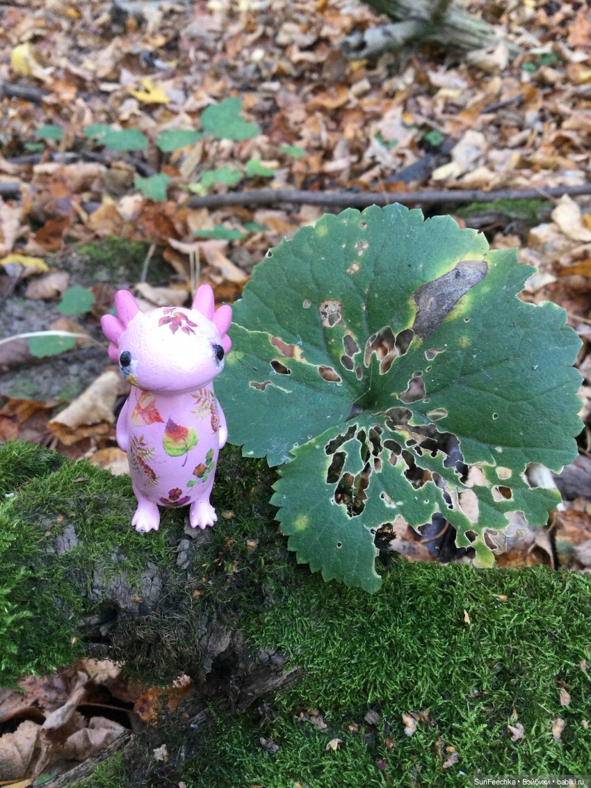 Кака вошёл в осень 🍁🍂🍁 — Игровые куклы разных производителей (Разное): редкие бренды (фото 2)