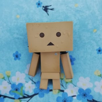 Моя  маленькая, бесценная  коробочка 🎁 Danboard