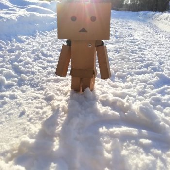 Бумажные забавы