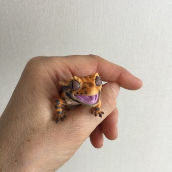 Генри 🦎 он же Гога, он же Жора, он же Гоша