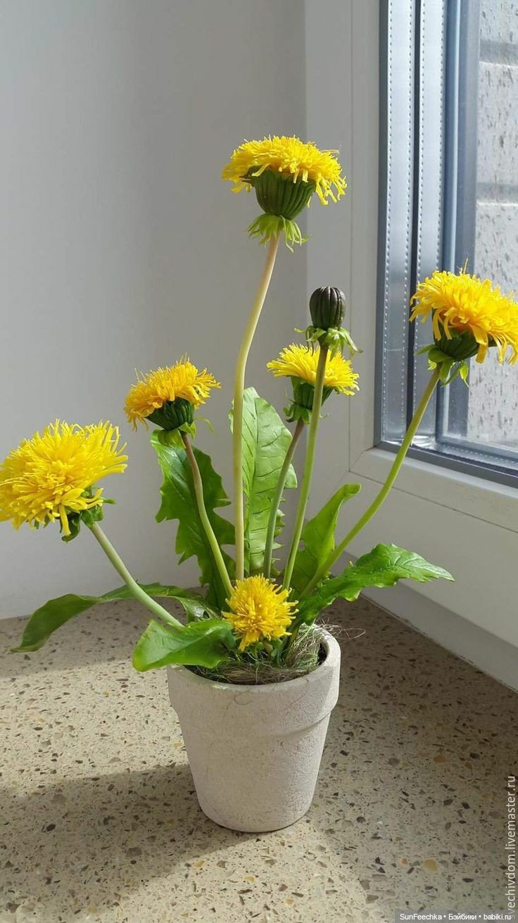 О том, о сём с Изи 🚘 Одуванчик | Бэйбики О том, о сём с Изи 🚘 Одуванчик (фото 4)