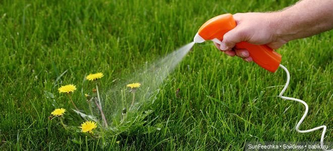 О том, о сём с Изи 🚘 Одуванчик | Бэйбики О том, о сём с Изи 🚘 Одуванчик