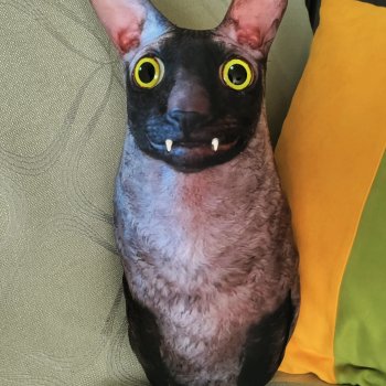 Летучий и ядовитый