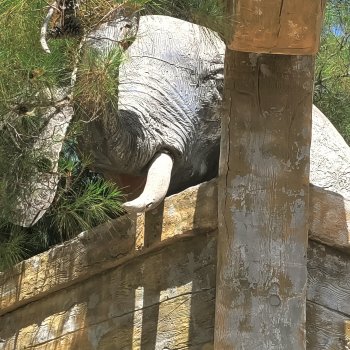 Отель - призрак Eco Dream Club Resort. Турция , Чамьюва. Часть 3